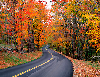 Autumn Road, color print from digital scanned transparency