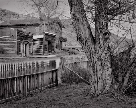 Fence and Cottonwood, Bannack, Montana. Black and white ghost town photograph