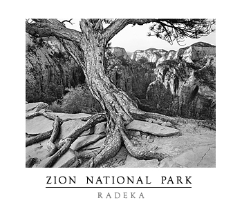 Zion poster
