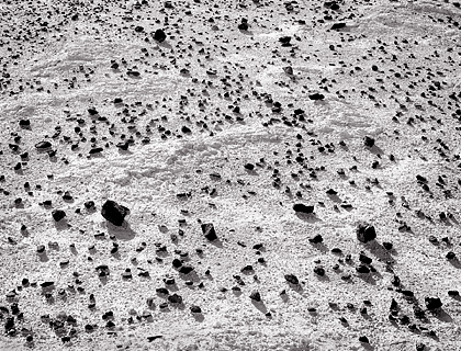 Black Rocks, Death Valley. Black and white photograph
