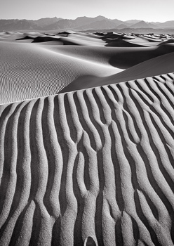 Mesquite Dunes, Death Valley, Sunrise by Lynn Radeka