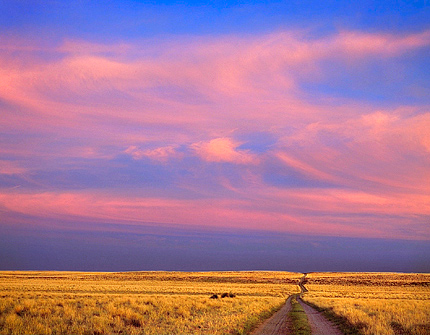 Sunset Road Bisti Badlands color large format film Lynn Radeka