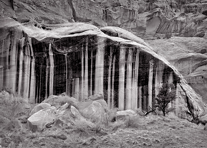Striped Cliff, Utah. Black and white photograph.