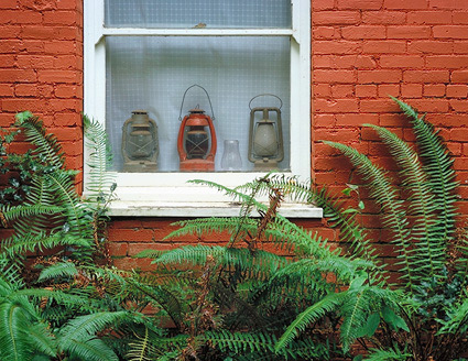 Ferns and Window. Oakland, Oregon. Color photograph