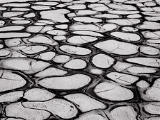 Mud Saucers, Death Valley. Black and white photograph